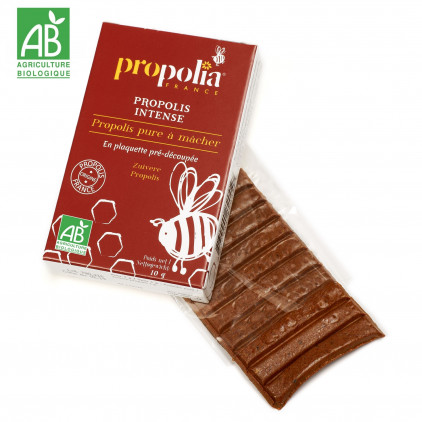 PROPOLIS PURE A MÂCHER BIO