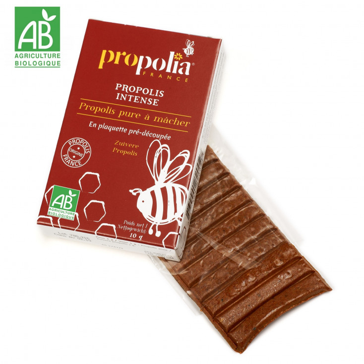 PROPOLIS PURE A MÂCHER BIO
