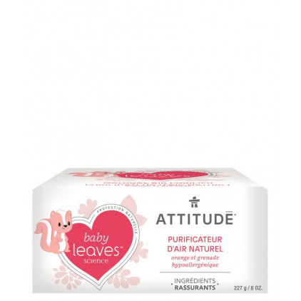 PURIFICATEUR D'AIR NATUREL A L'ORANGE