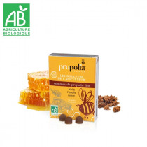 ORGANIC PROPOLIS PASTILLES WITH HONEY