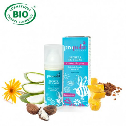 ORGANIC DAY CREAM FOR DRY SKIN