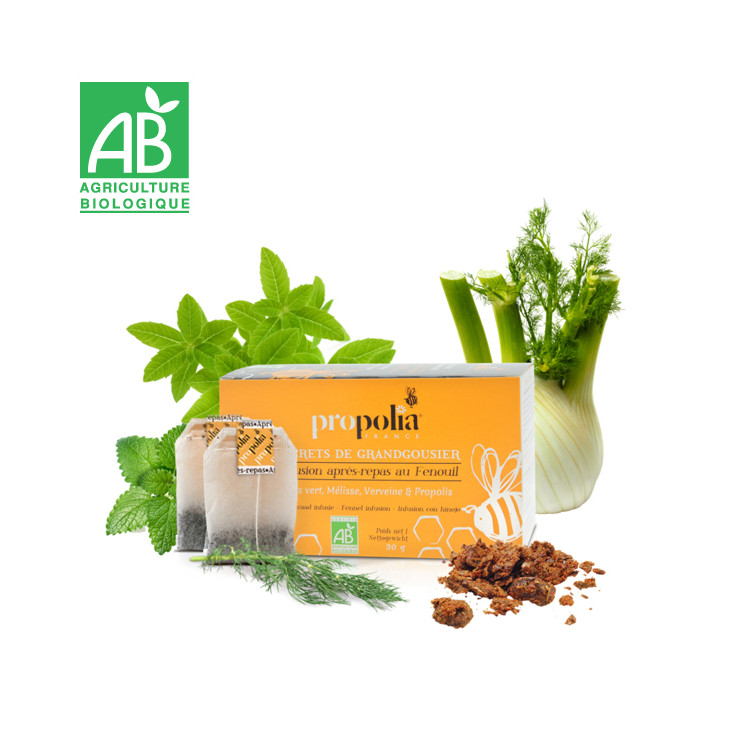 INFUSION APRÈS-REPAS BIO