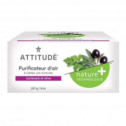 PURIFICATEUR D'AIR NATUREL A L'OLIVE