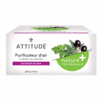PURIFICATEUR D'AIR NATUREL A L'OLIVE
