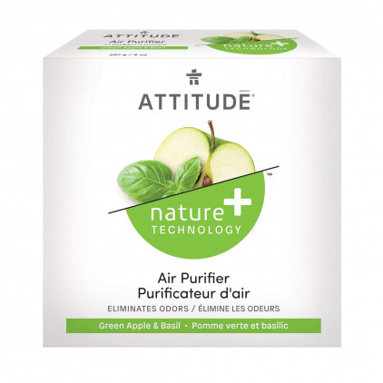 PURIFICATEUR D'AIR NATUREL A LA POMME