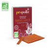 PROPOLIS PURE A MÂCHER BIO