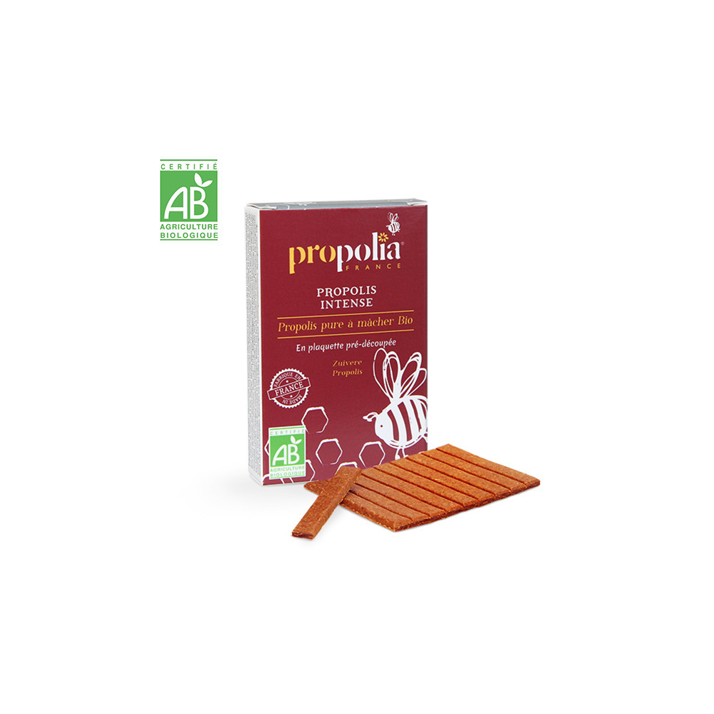 Chewing-gums Propolis & Cannelle
