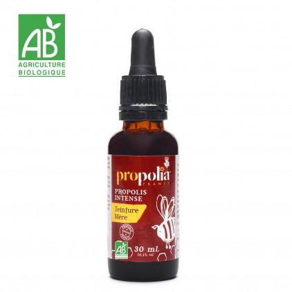 ORGANIC PROPOLIS MOTHER TINCTURE