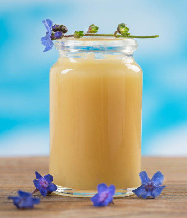 Pot de gelée royale pure bio