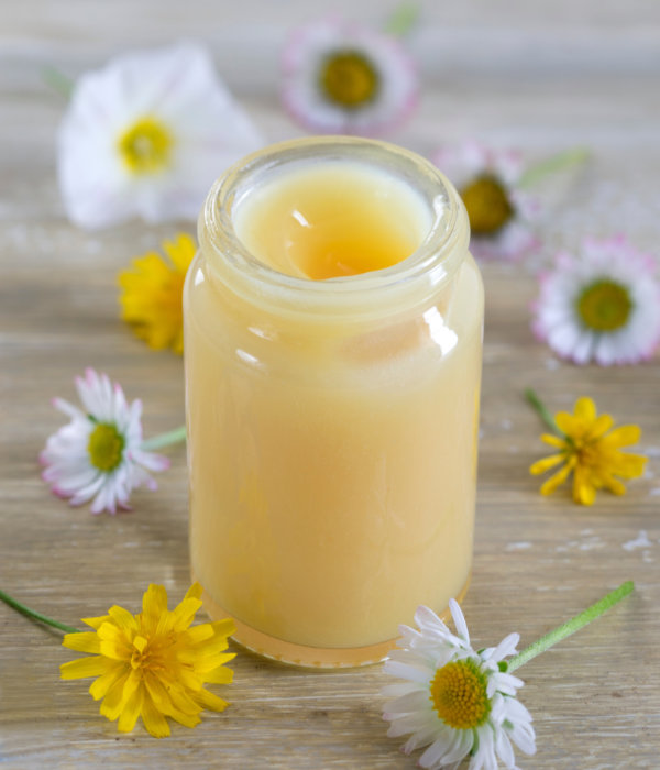 Pot de gelée royale pure bio