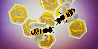 LES ABEILLES EN DANGER